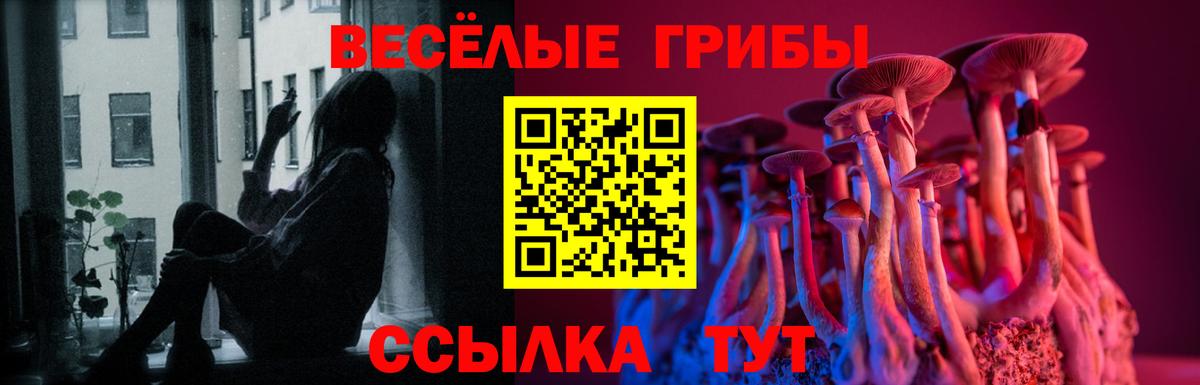 Хабаровск  дарнет шоп  Галлюциногенные грибы Cubensis  Вход с VPN  Псилоцибиновые грибы мицелий 